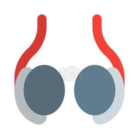 Illustration for Testicle or testis (plural testes) is the male reproductive gland - Royalty Free Image