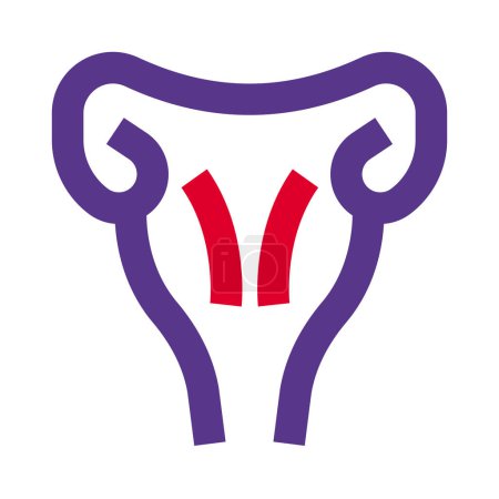 Téléchargez les illustrations : L'utérus est un organe musculaire creux situé dans le bassin féminin entre la vessie et le rectum. - en licence libre de droit