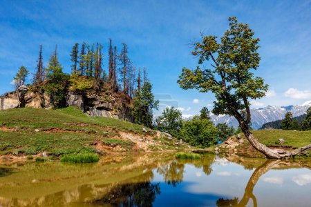 Photo for Scenic Indian Himalayan landscape scenery in Himalayas with tree and small lake. Himachal Pradesh, India - Royalty Free Image