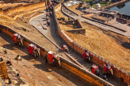 Photo for AMER, INDIA - NOVEMBER 18, 2012: Tourists riding elephants on ascend to Amer (Amber) fort, Rajasthan, India. Amer fort is famous tourist destination and landmark - Royalty Free Image