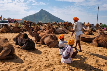 Foto de Pushkar, India - 6 de noviembre de 2019: Hombres y camellos indios en la feria de camellos de Pushkar (Pushkar Mela) - feria anual de camellos y ganado, una de las ferias de camellos y atracciones turísticas más grandes del mundo - Imagen libre de derechos