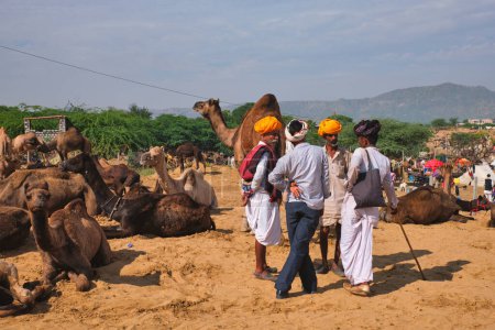 Photo for Pushkar, India - November 6, 2019: Indian men and camels at Pushkar camel fair (Pushkar Mela) - annual camel and livestock fair, one of the world's largest camel fairs and tourist attraction - Royalty Free Image
