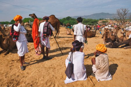 Foto de Pushkar, India - 6 de noviembre de 2019: Hombres y camellos indios en la feria de camellos de Pushkar (Pushkar Mela) - feria anual de camellos y ganado, una de las ferias de camellos y atracciones turísticas más grandes del mundo - Imagen libre de derechos