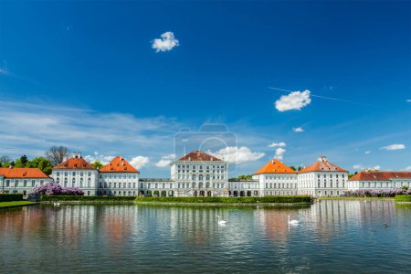 Photo for Swans in artificial pool in front of the Nymphenburg Palace. Munich, Bavaria, Germany - Royalty Free Image