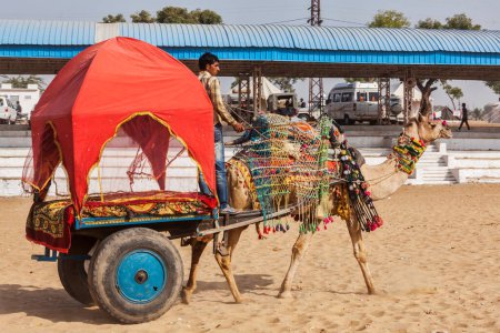 Téléchargez les photos : PUSHKAR, INDE - 22 NOVEMBRE 2012 : Taxi de chameau pour les touristes à la foire du chameau de Pushkar (Pushkar Mela) - foire annuelle de cinq jours sur le chameau et le bétail l'une des plus grandes foires du chameau au monde et attraction touristique - en image libre de droit