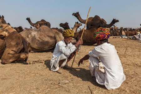 Foto de PUSHKAR, INDIA - 20 DE NOVIEMBRE DE 2012: Hombres y camellos indios en la feria de camellos de Pushkar (Pushkar Mela) - feria anual de camellos y ganado de cinco días, una de las ferias de camellos más grandes del mundo y atracción turística - Imagen libre de derechos