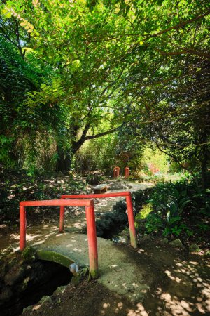 Téléchargez les photos : Pont de style chinois rouge avec balustrades en bois dans une verdure luxuriante de la partie asiatique du jardin botanique tropical à Lisbonne, Portugal - en image libre de droit