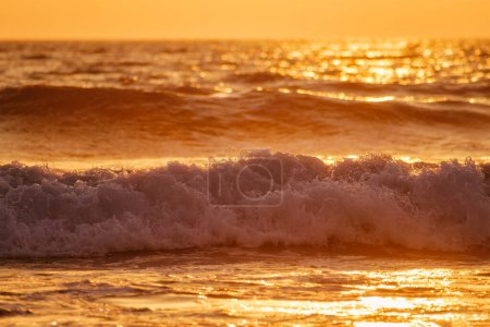 Téléchargez les photos : Breaking ocean wave on sunset backlit with sun. Fonte da Telha, Costa da Caparica, Portugal - en image libre de droit