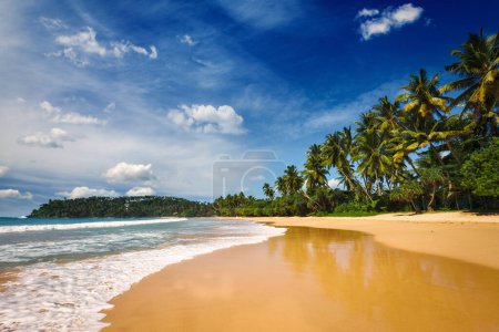 Photo for Tropical vacation holiday background - paradise idyllic beach. Mirissa, Sri lanka - Royalty Free Image