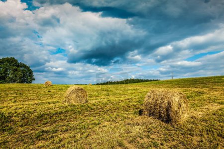 Foto de Fondo agrícola: un impresionante paisaje de verano con fardos de heno esparcidos por un campo, con un cielo azul y nubes entrecortadas en el fondo - Imagen libre de derechos