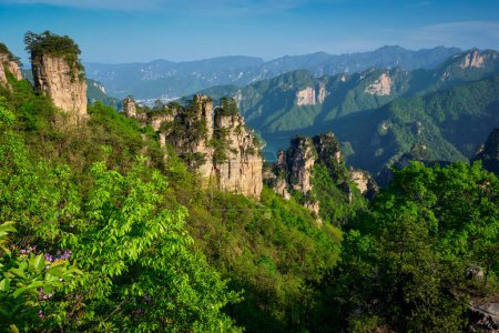 Foto de Famosa atracción turística de China Zhangjiajie pilares de piedra acantilado montañas al atardecer en Wulingyuan, Hunan, China - Imagen libre de derechos