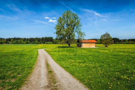 Téléchargez les photos : Route rurale dans prairie d'été avec hangar en bois. Bavière, Allemagne - en image libre de droit