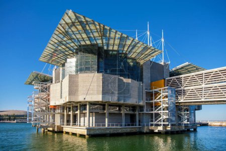 Foto de Lisboa, Portugal - 28 de julio de 2023: El Oceanario de Lisboa, uno de los acuarios interiores más grandes de Europa, el oceanario de agua salada más grande del mundo y aproximadamente 1 millón de personas visitan cada año - Imagen libre de derechos