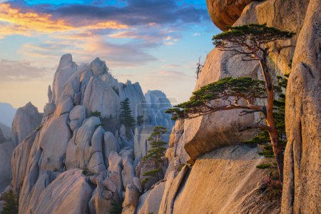 Foto de Vista de piedras y formaciones rocosas desde el pico de roca de Ulsanbawi al atardecer. Parque Nacional Seoraksan, Corea del Sur - Imagen libre de derechos