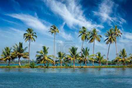 Photo for Kerala travel tourism background - Palms at Kerala backwaters. Allepey Alappuzha, Kerala, India. This is very typical image of backwaters. - Royalty Free Image