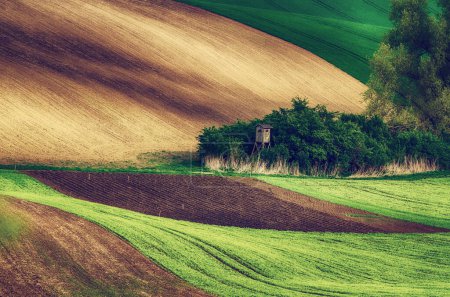 Téléchargez les photos : Paysage rural avec champs verdoyants et arbres, Moravie du Sud, République tchèque - en image libre de droit