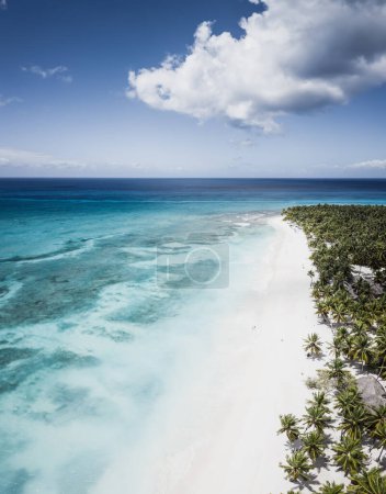 Téléchargez les photos : Belle plage caribéenne sur l'île de Saona, République dominicaine. Vue aérienne du paysage tropical idyllique d'été avec des palmiers verts, la côte de la mer et le sable blanc - en image libre de droit