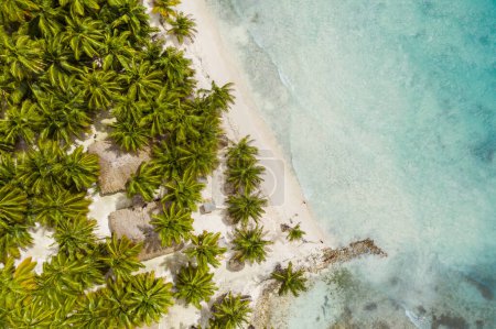 Téléchargez les photos : Belle plage caribéenne sur l'île de Saona, République dominicaine. Vue aérienne du paysage tropical idyllique d'été avec des palmiers verts, la côte de la mer et le sable blanc - en image libre de droit