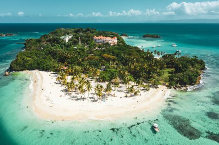 Téléchargez les photos : Vue aérienne par drone de la belle île tropicale des Caraïbes Cayo Levantado plage avec palmiers. Bacardi Island, République dominicaine. Fond de vacances. - en image libre de droit