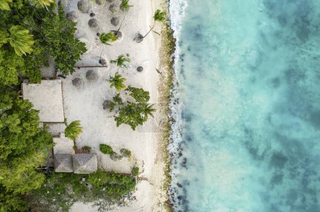 Téléchargez les photos : Belle plage des Caraïbes en République dominicaine. Vue aérienne abstraite du paysage tropical idyllique d'été avec des palmiers verts, la côte de la mer et le sable blanc. Voyage fond plat avec copyspace - en image libre de droit
