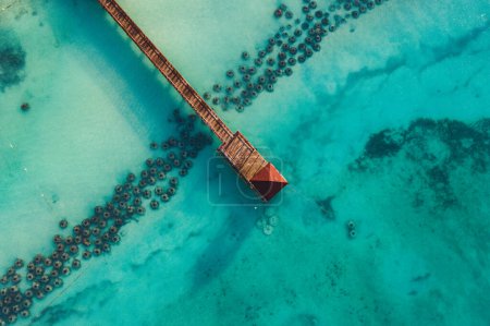 Téléchargez les photos : Belle plage des Caraïbes en République dominicaine. Vue aérienne abstraite du paysage tropical idyllique d'été avec de l'eau de mer bleue transparente claire et une jetée rouge en bois - en image libre de droit
