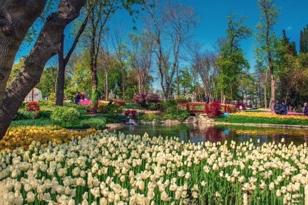 Festival de Tulipán tradicional en Emirgan Park, un parque urbano histórico en primavera, fondo de viaje de primavera