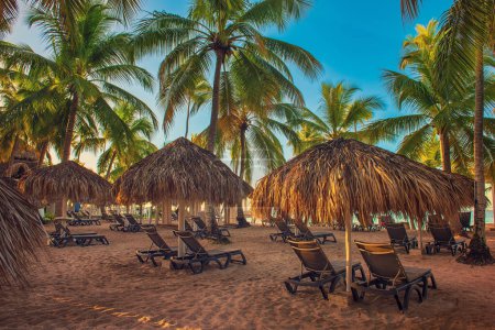 Téléchargez les photos : Belle plage des Caraïbes en République dominicaine. Paysage tropical idyllique d'été avec palmiers et cabanes de paille. Fond de voyage avec copyspace. Concept de détente en vacances - en image libre de droit