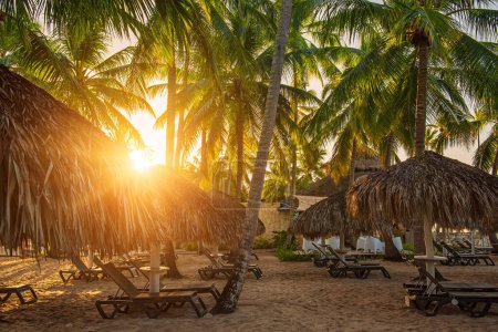 Téléchargez les photos : Belle plage des Caraïbes en République dominicaine. Paysage tropical idyllique d'été avec palmiers et cabanes de paille. Fond de voyage avec copyspace. Concept de détente en vacances - en image libre de droit
