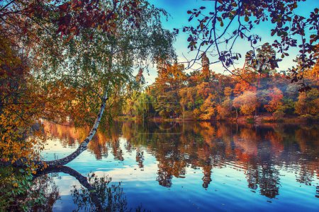 Blick auf den See mit herbstlich gelben und grünen Bäumen und blauem Himmel, natürlicher saisonaler Hintergrund