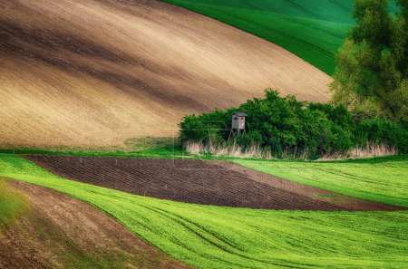 Téléchargez les photos : Paysage rural avec champs verdoyants et arbres, Moravie du Sud, République tchèque - en image libre de droit