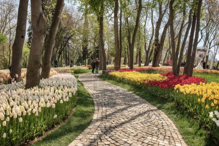 Traditional Tulip Festival in Emirgan Park, a historical urban park at springtime, spring travel background