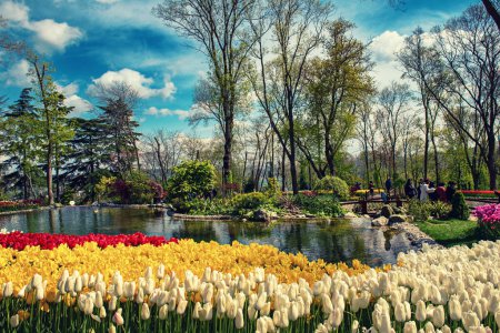 Traditional Tulip Festival in Emirgan Park, a historical urban park at springtime, spring travel background