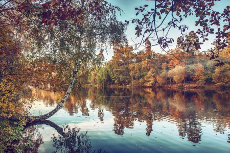 Vista del lago con árboles de otoño amarillo y verde y cielo azul, fondo natural estacional
