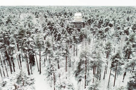 Old observatory tower in the Glen park, in fir forest. Tallinn, Estonia. Winter seasonal landscape. View from above