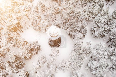 Old observatory tower in the Glen park. Tallinn, Estonia. Winter seasonal landscape. View from above