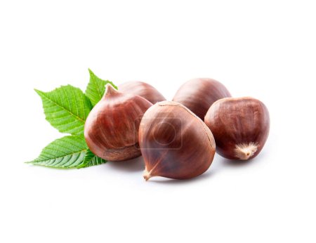 Chestnuts with leaves on white backgrounds.