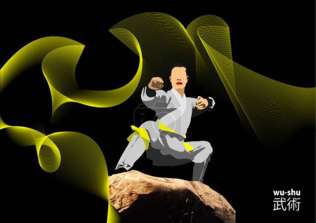 Illustration for Oriental combat sports on abstract wave background. Colored 3d vector illustration. - Royalty Free Image