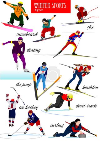 Illustration for Big set of Winter sports. Vector 3d hand drawn  illustration - Royalty Free Image