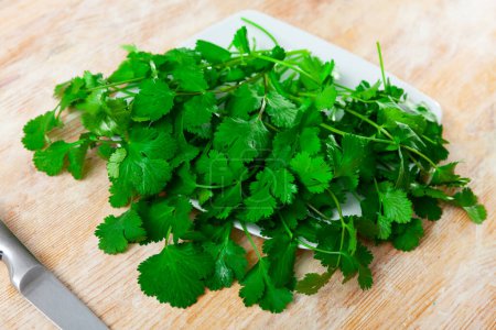 Fresh bunch of cilantro on a white plate standing on a wooden table. Ingredients for cooking