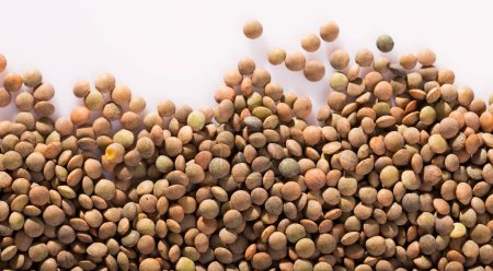 Grains of raw lentils on white surface. Natural food background..