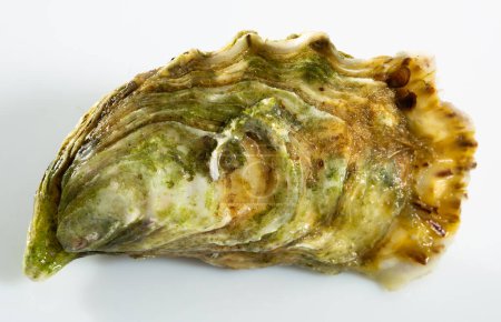 Image of tasty raw closed oysters on white background, close-up