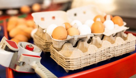 Eggs in sorting shop in chicken farm