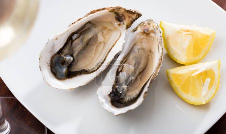 Tasty oysters with lemon on plate top view. High quality photo