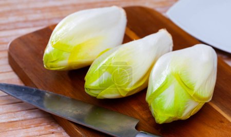 Head of belgian endive chicory on wooden table closeup