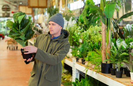 Male customer chooses artificial plastic flowers in pots in a flower shop
