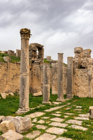 Des restes de colonnes de pierre du Temple de Minerve s'élèvent aux ruines de l'ancien établissement romain de Dougga en Tunisie, envahis par l'herbe verte le jour nuageux du printemps