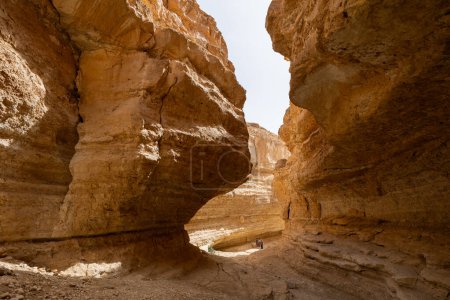 Vue pittoresque sur le canyon de Tamaghza - la plus grande oasis de montagne de Tunisie