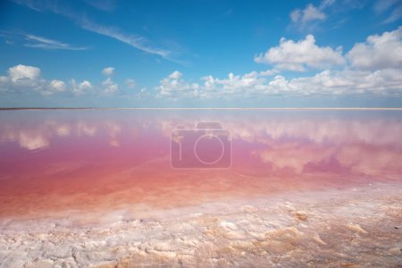 Téléchargez les photos : Lac salé de mer le jour. Composition naturelle unique. - en image libre de droit