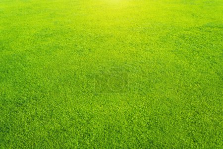 Téléchargez les photos : Texture de fond d'herbe verte. Élément de conception. - en image libre de droit