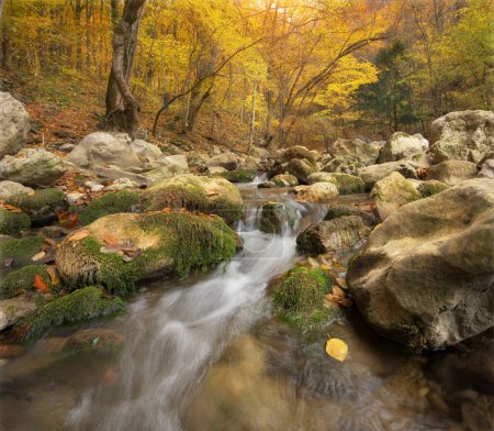 Foto de Bosque otoñal y caudal fluvial. Composición de la naturaleza
. - Imagen libre de derechos